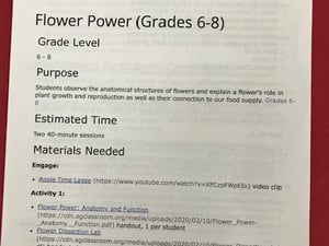 Ag Day Flower Activity